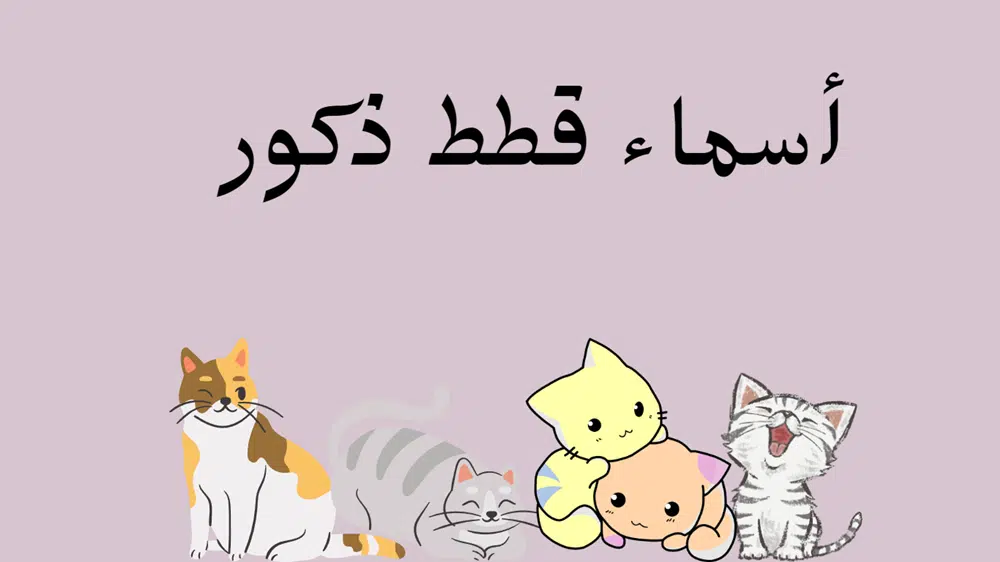 أسماء قطط ذكور
