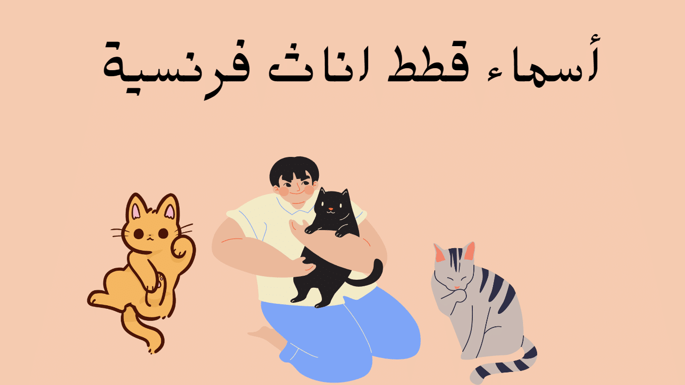 أسماء قطط اناث فرنسية