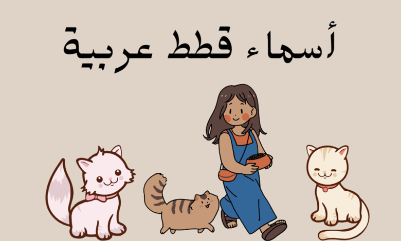 أسماء قطط عربية