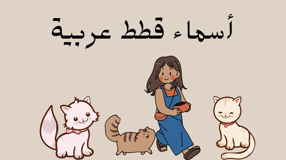 أسماء قطط عربية