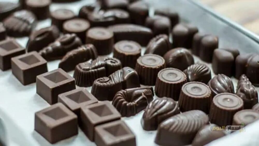 شركات شوكولاتة في تونس