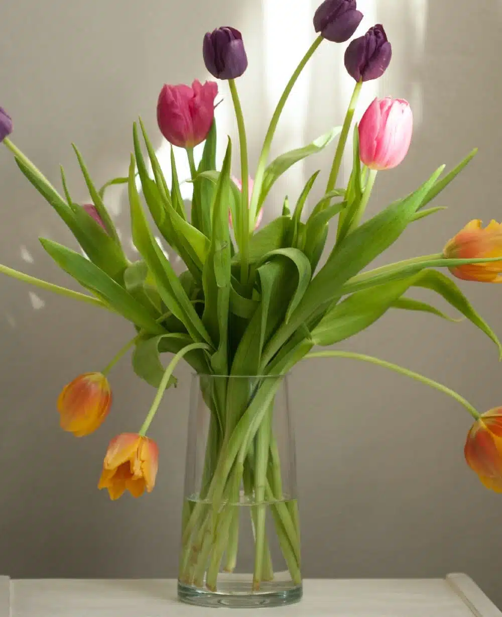 Flower shops in the world