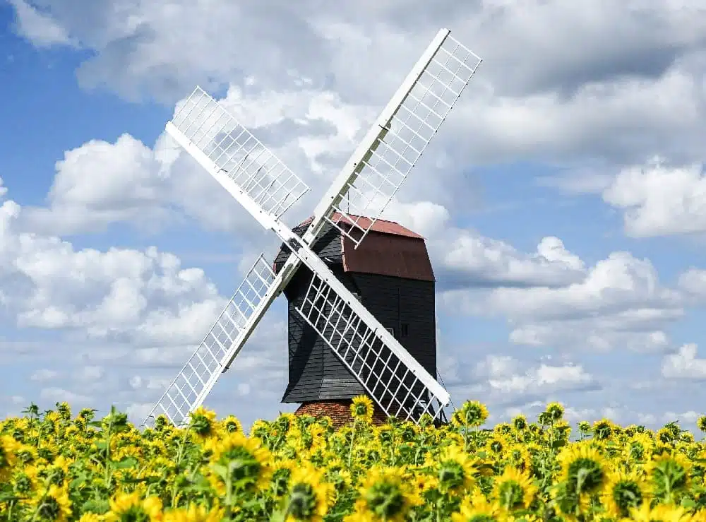 شركات زراعية في السعودية